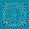 Turquoise Paisley Turquoise Paisley