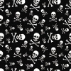 Skull & Crossbones Skull & Crossbones