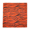 Zebra Stripe - Orange Zebra Stripe - Orange