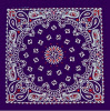 Navy, Red, & White Paisley Navy, Red, & White Paisley
