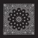 Black Paisley Black Paisley