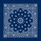 Navy Paisley Navy Paisley