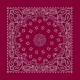 Burgundy Paisley Burgundy Paisley