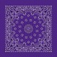 Purple Paisley Purple Paisley
