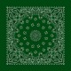 Hunter Green Paisley Hunter Green Paisley