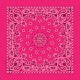 Hot Pink Paisley Hot Pink Paisley