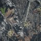Mossy Oak Mossy Oak