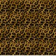 Leopard Print Leopard Print