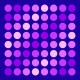 Polka Dots - Pink/Purple Polka Dots - Pink/Purple